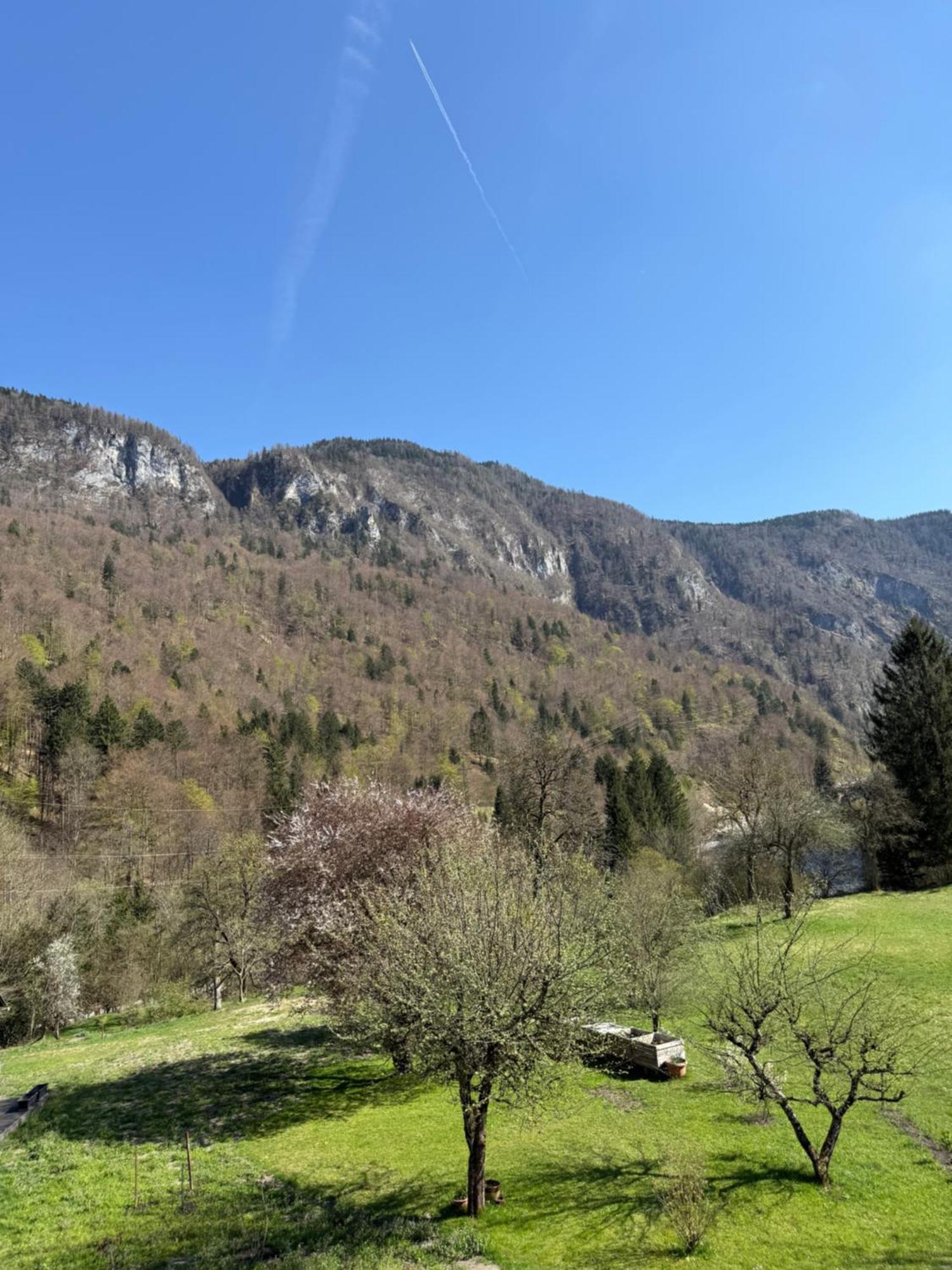 4 Elements Resort Bled Bohinjska Bela Bagian luar foto