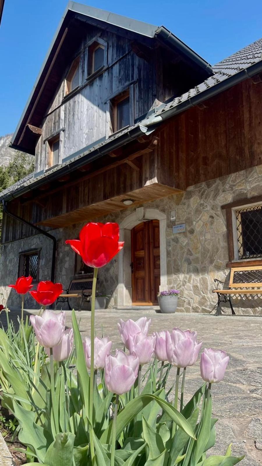 4 Elements Resort Bled Bohinjska Bela Bagian luar foto